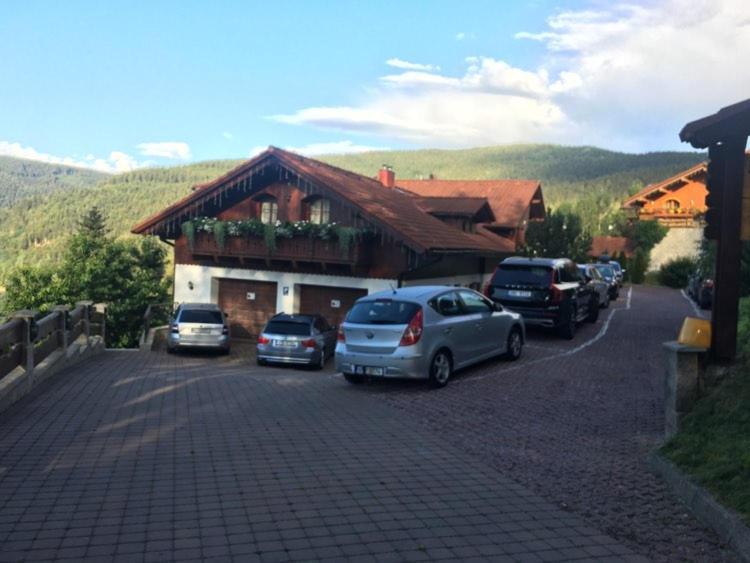 Pension Monte Rosa Špindlerŭv Mlýn Exteriér fotografie