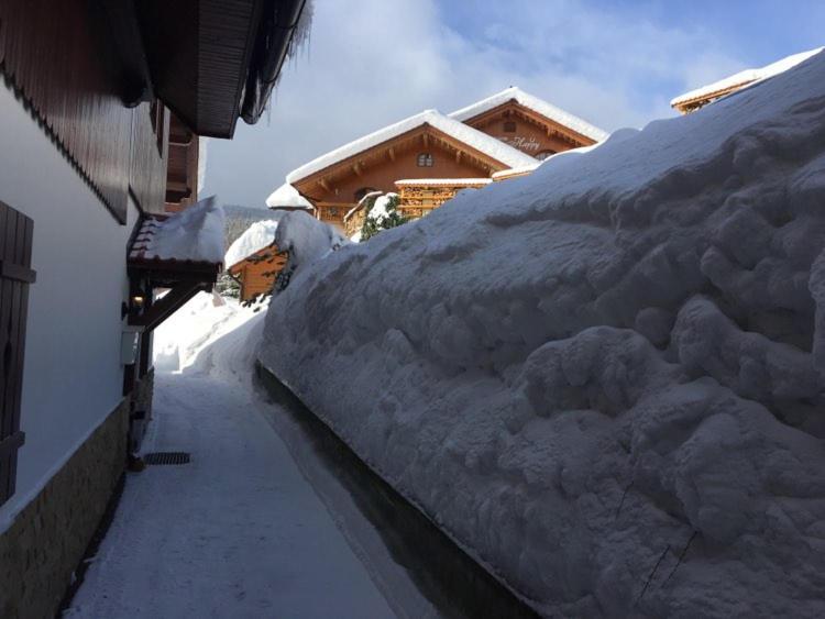 Pension Monte Rosa Špindlerŭv Mlýn Exteriér fotografie