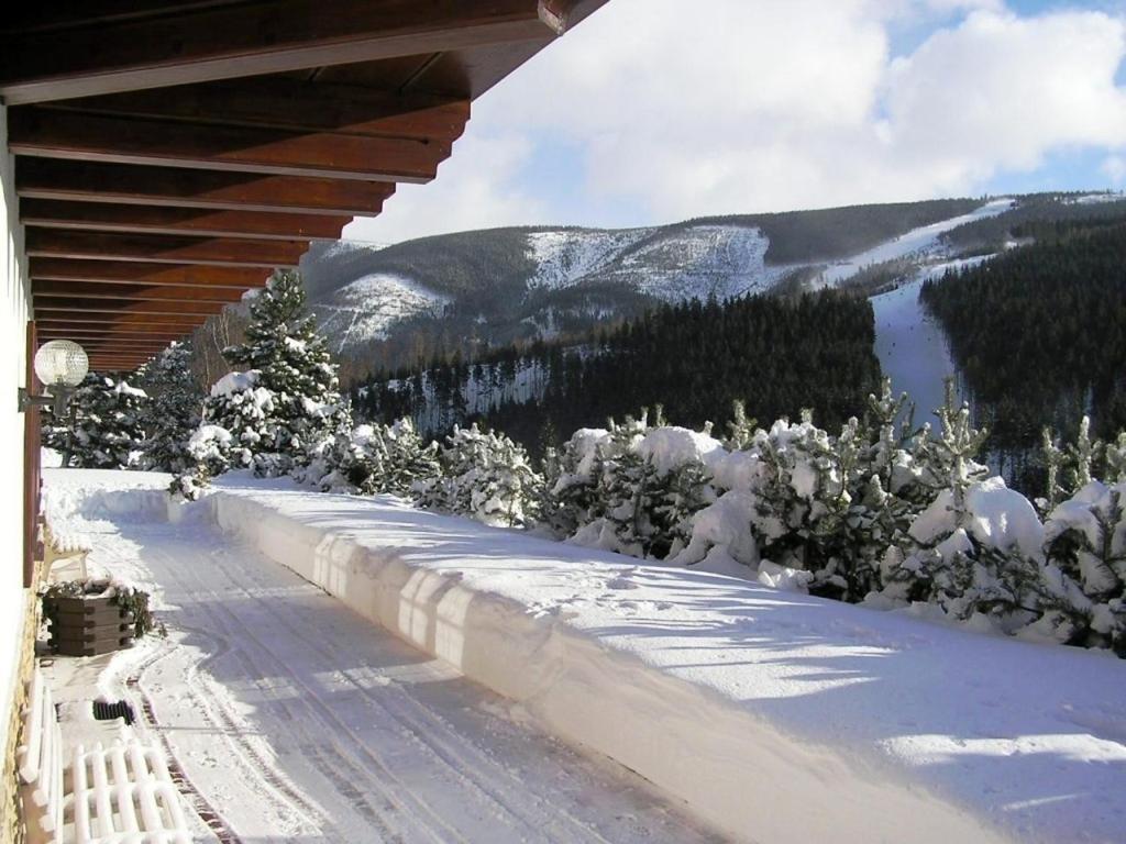 Pension Monte Rosa Špindlerŭv Mlýn Exteriér fotografie